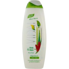 Vidal Shower Foam Aloe Vera 500 ml pflegt und spendet Feuchtigkeit