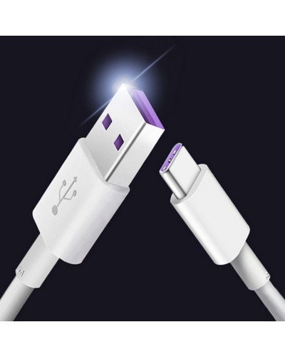 Câble USB - USB-C Type-C, charge et transfert de moins de données rapidement, 2m, blanc