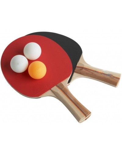 Due Racchette da Ping Pong con 3 palline