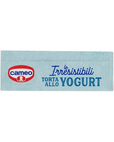 Torta allo yogurt per 10 porzioni, Cameo, confezione 270g