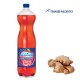 Ginger, kohlensäurehaltiges alkoholfreies Getränk, San Benedetto 1,5l