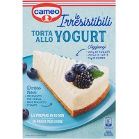 Joghurt kuchen für 10 Portionen, Cameo, 270g Packung